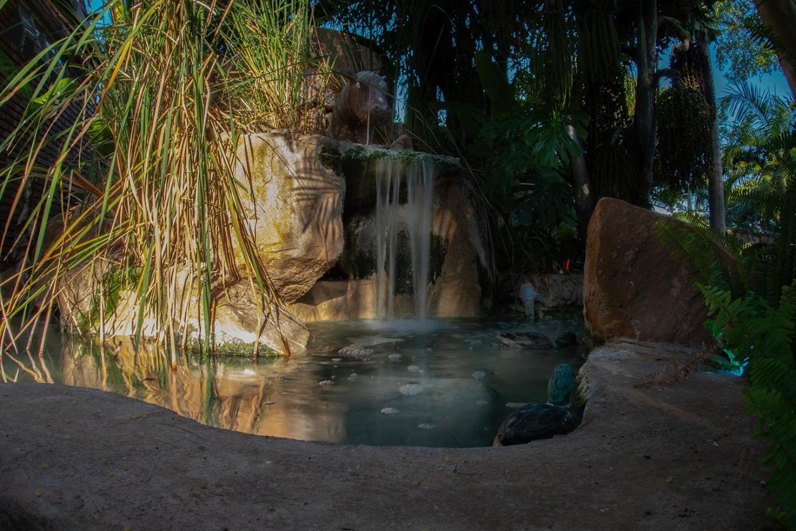Dei Gratia Guest House Musina Luaran gambar