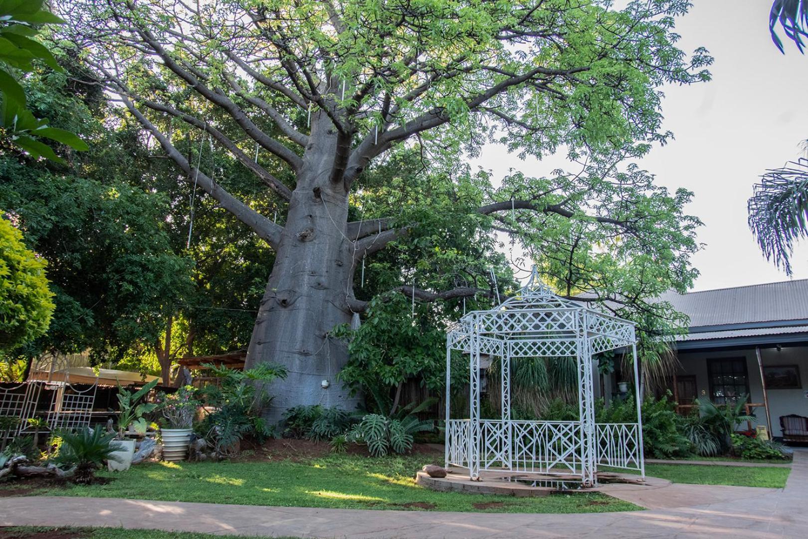 Dei Gratia Guest House Musina Luaran gambar